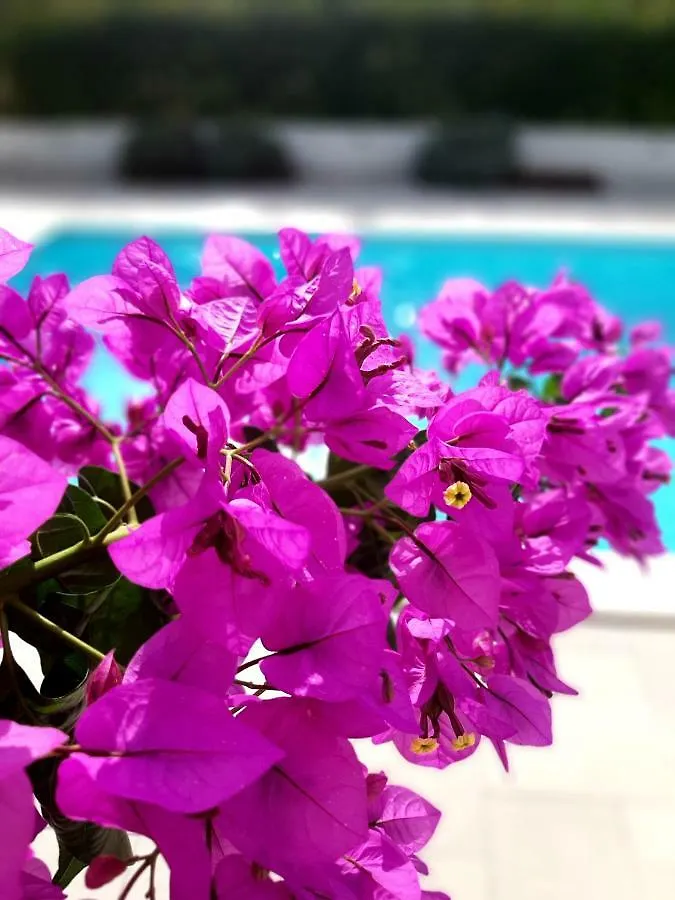 Holiday Home Villa Emma Debeljak 0*,