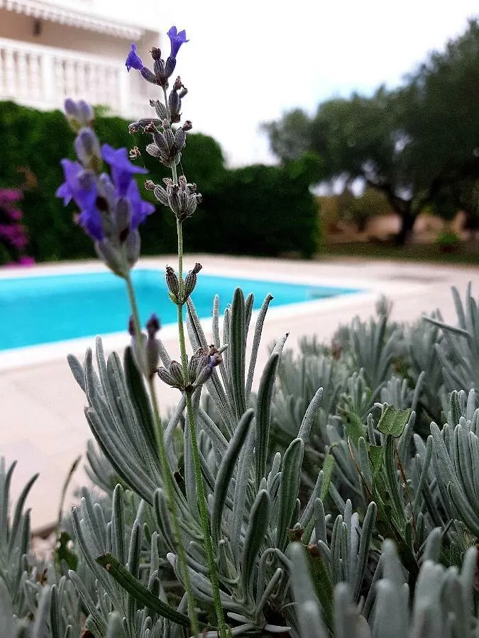 Holiday Home Villa Emma Debeljak